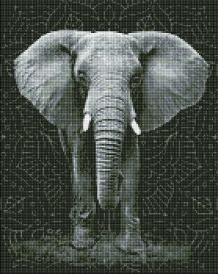 Алмазна мозаїка Непокірний слон Ідейка 40х50 (AMO7542) AMO7542 фото